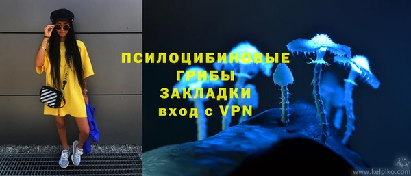 стаф Балахна
