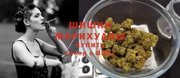 стаф Балахна