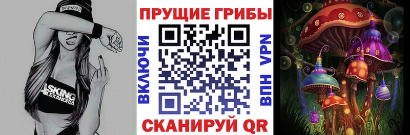 купить  сайты  omg зеркало  Псилоцибиновые грибы ЛСД  Белая Калитва 